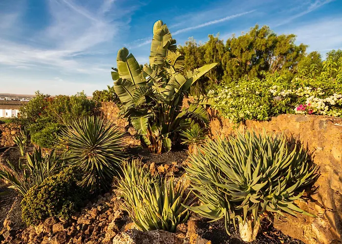 Casa Odo - Mit Beheiztem Privatpool לה אוליבה