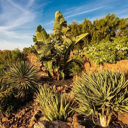 Casa Odo - Mit Beheiztem Privatpool 라 올리바